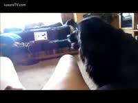 Zoo Film - Creamy skinned honey entices her bushy black dog
